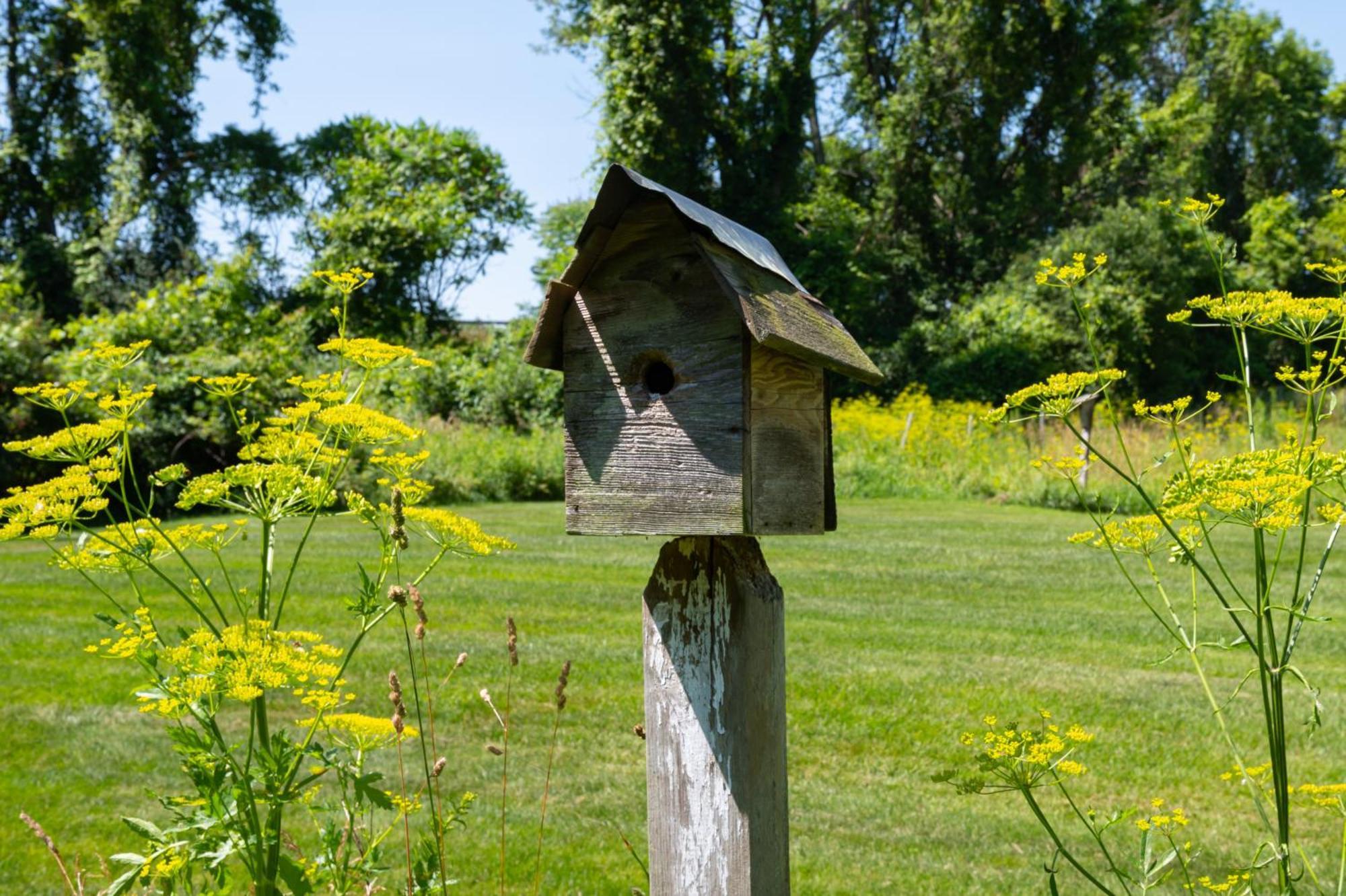 Red Fox Run B&B Cazenovia Εξωτερικό φωτογραφία